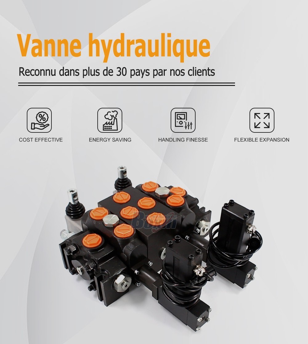 DCV200 Moteur électrique 2 tiroirs Distributeur directionnel sectionnel